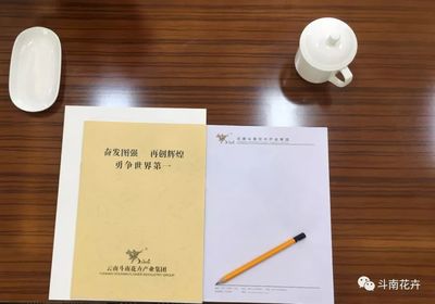 構建標準化會務服務體系，鑄就卓越賓客體驗