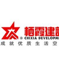 棲霞建設(shè)董事會決議公告 選舉江勁松為董事長、總裁及投資興辦實業(yè)